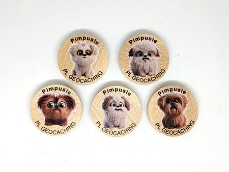 Pimpki. 5 sztuk kolorowych PWG