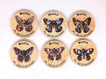 Ćmy. 6 sztuk kolorowych PWG