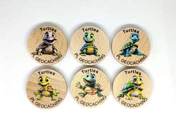 Turtles. 6 sztuk kolorowych PWG