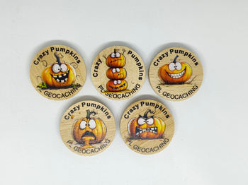 Crazy Pumpkins. 5 sztuk kolorowych PWG