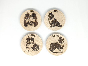 Psiaki - Collie. PWG. 4 sztuki