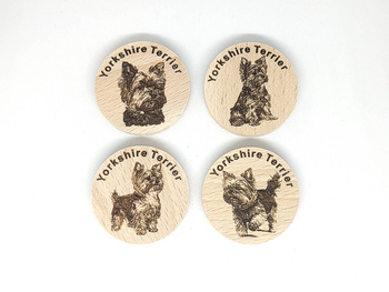 Psiaki - Yorkshire Terrier. PWG. 4 sztuki