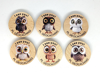 Sowy. I see You. 6 sztuk kolorowych PWG