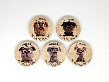 Pimpki. 5 sztuk kolorowych PWG