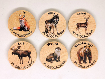 Zwierzęta v1. 6 sztuk kolorowych PWG