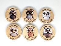 Sowy. I see You. 6 sztuk kolorowych PWG