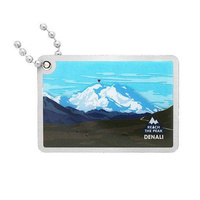 Reach the Peak Travel Tag - Denali