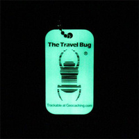 Geocaching QR Travel Bug® - świecący w ciemności