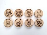 Zestaw 8 PWG "Koty 2"